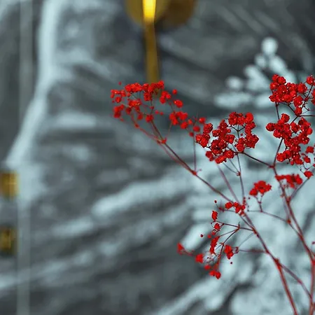 Margi Dali Prestige Lux Hanza Tower