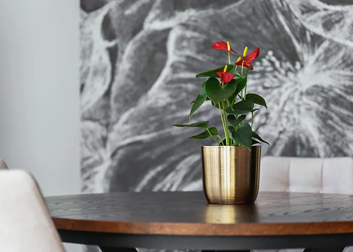 Margi Dali Prestige Lux Hanza Tower